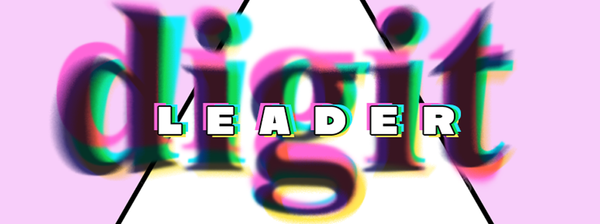 DIGITLEADER LLC